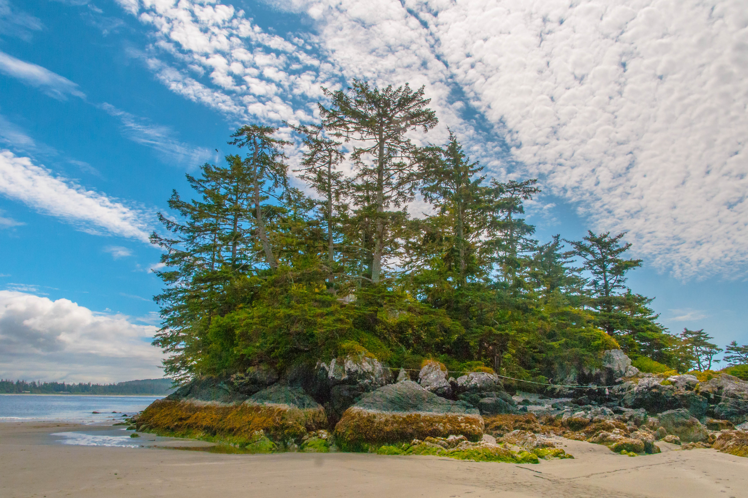 Pacific_Rim_National_Park_Reserve,_British_Columbia[1].webp